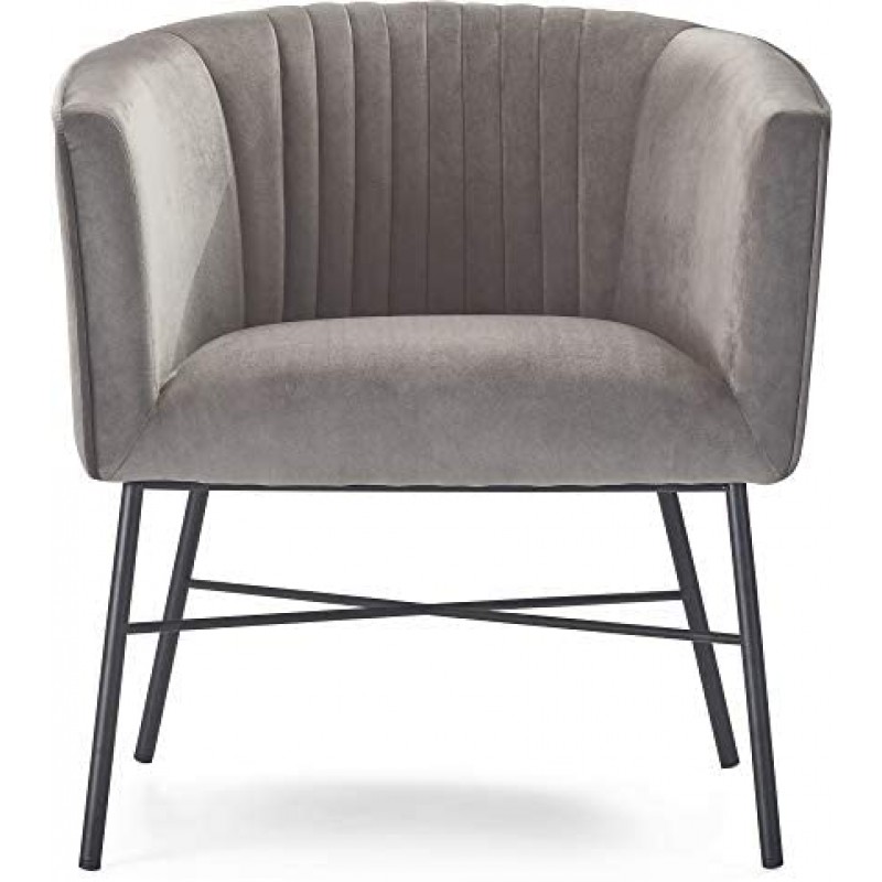 Adore Decor Leone - Silla tapizada de terciopelo con respaldo cómodo, sillón club, muebles modernos de salón para espacios pequeños, cómodo gris